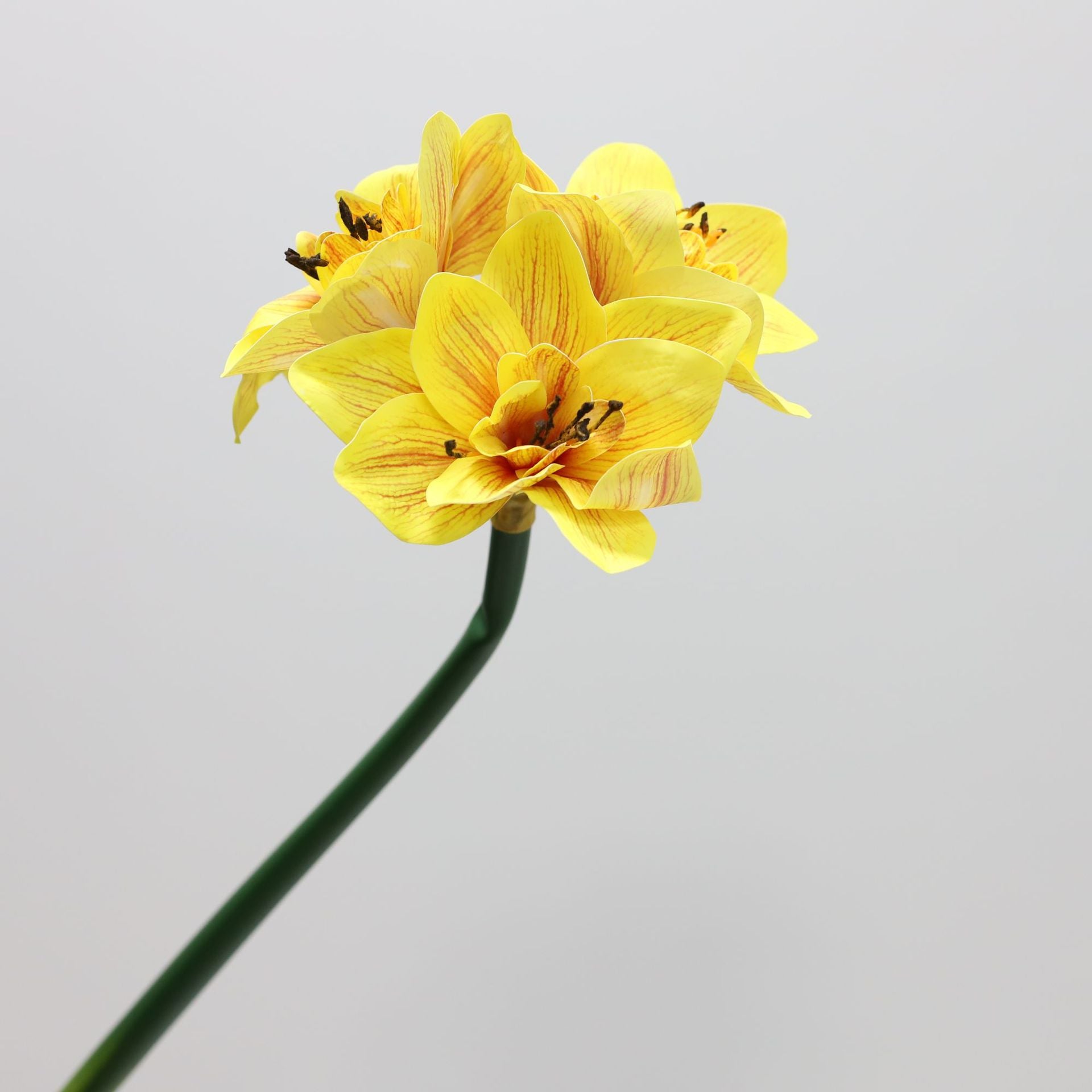 62cm Amaryllis Artificielle - Fleur Fausse Realiste pour Decoration Interieure Déco de Noël